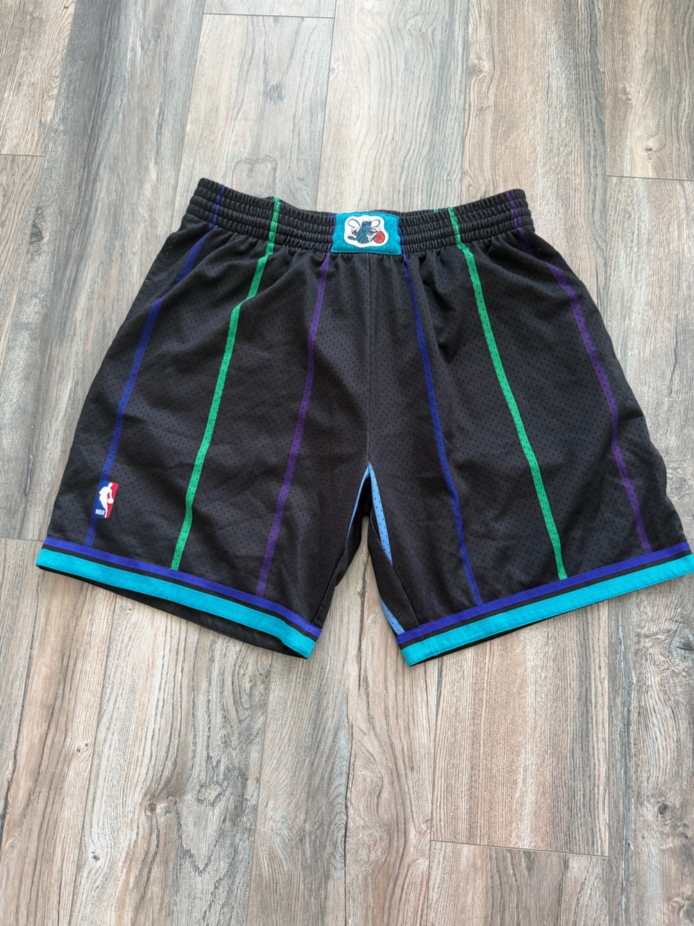 Mitchell & Ness Charlotte Hornets 1992-93 Reload Swingman Shorts XXL